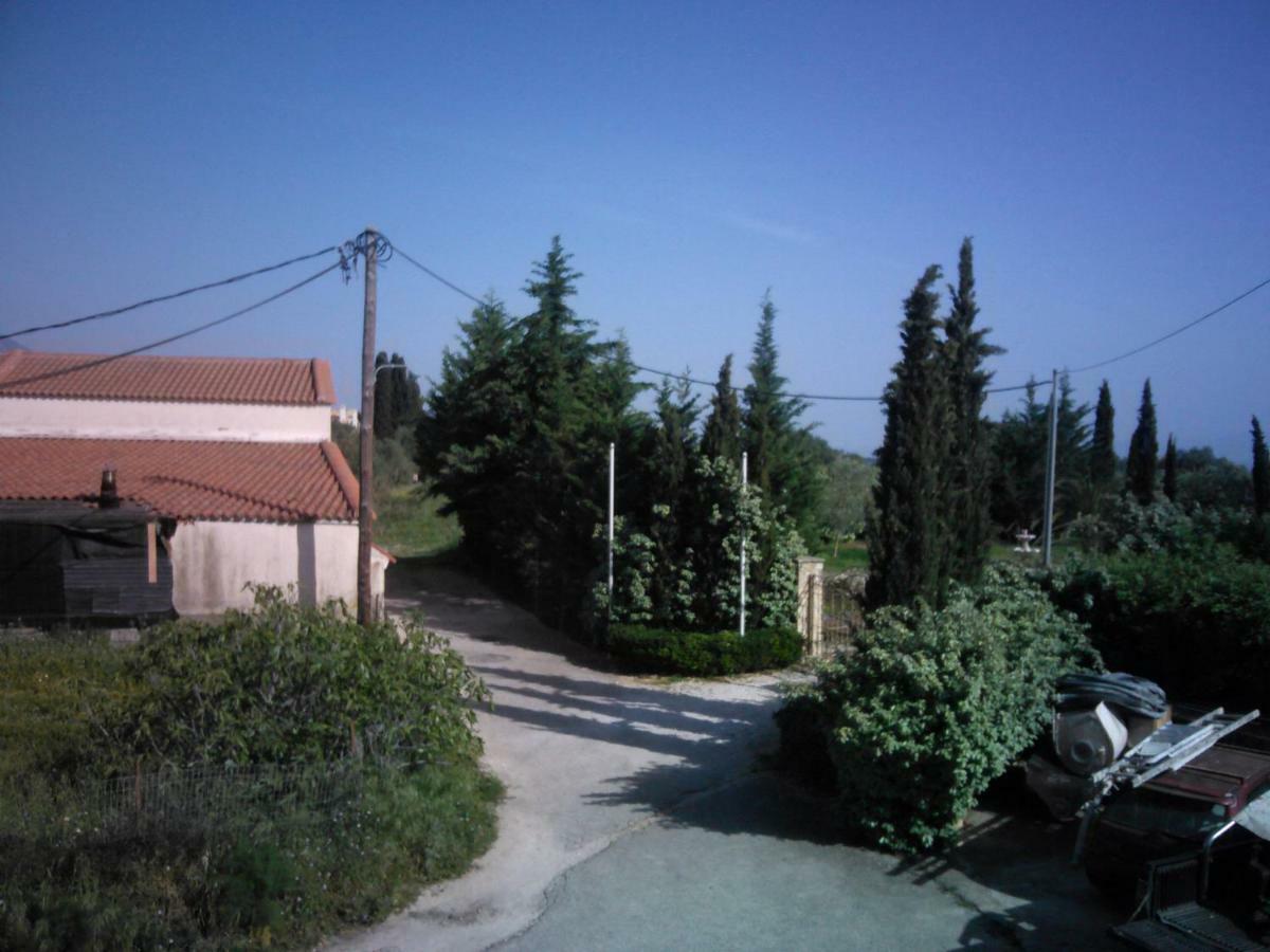 Kostas--sarantis * Lakithra